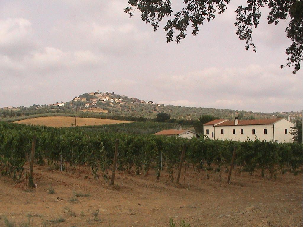 Agriturismo Vigna Mai Magliano in Toscana Exteriér fotografie