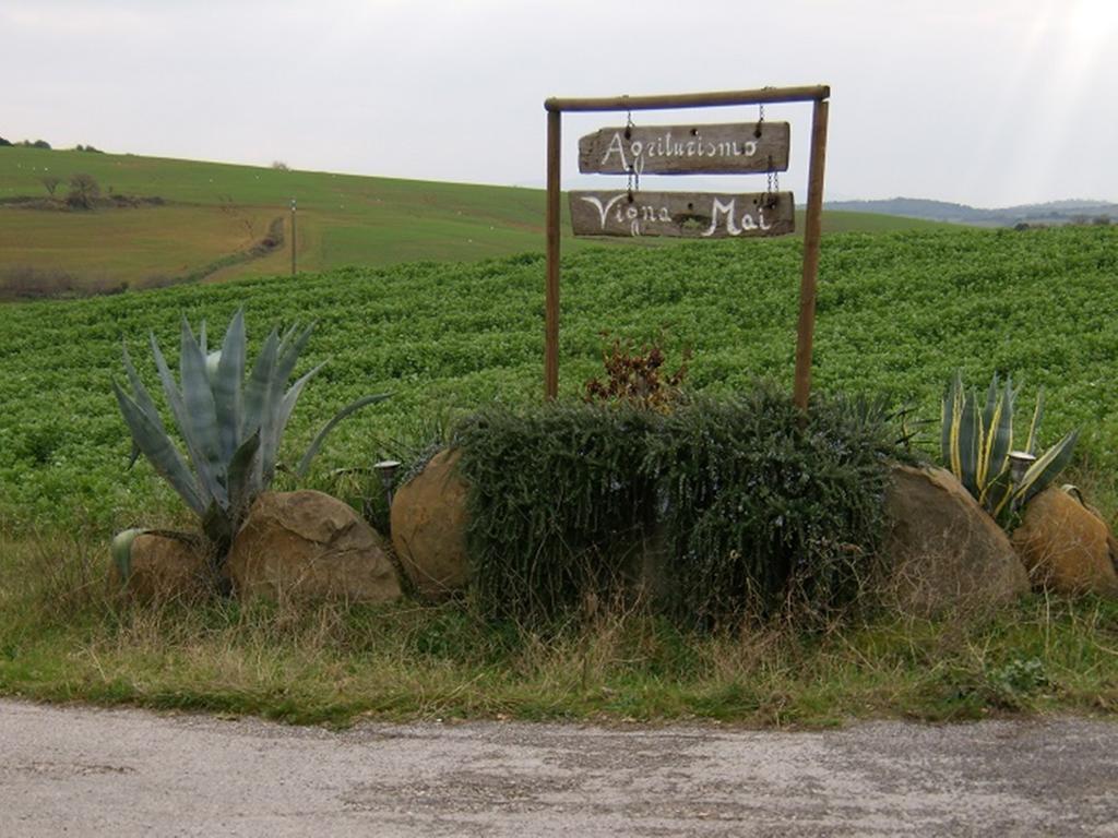 Agriturismo Vigna Mai Magliano in Toscana Exteriér fotografie