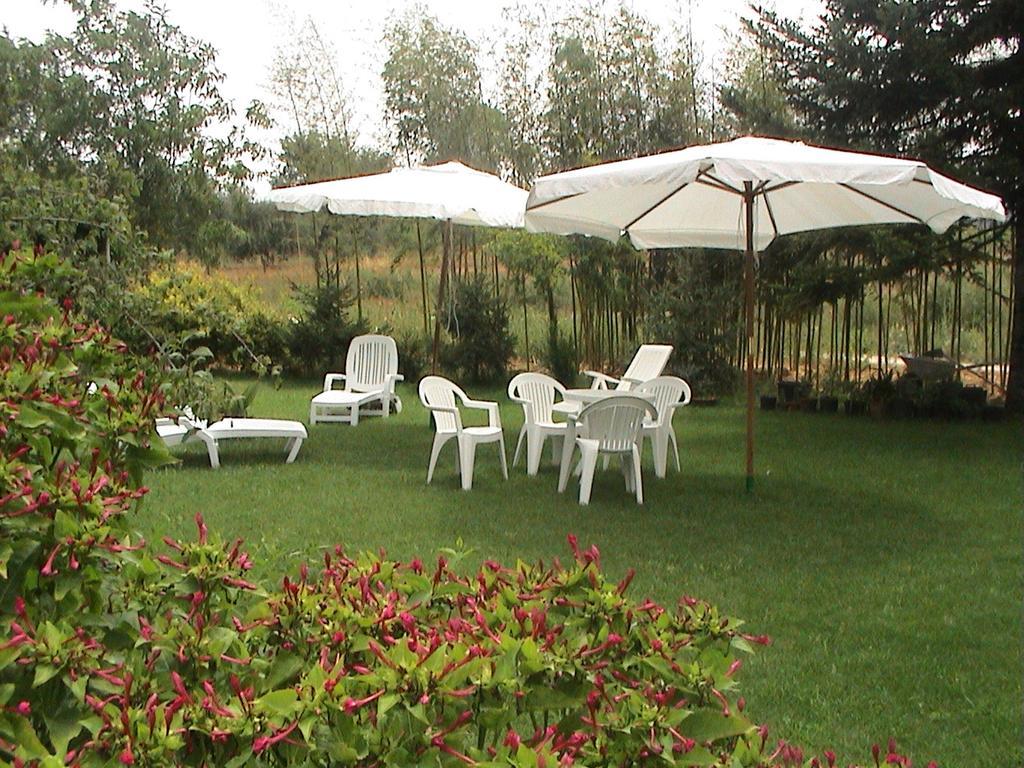 Agriturismo Vigna Mai Magliano in Toscana Exteriér fotografie